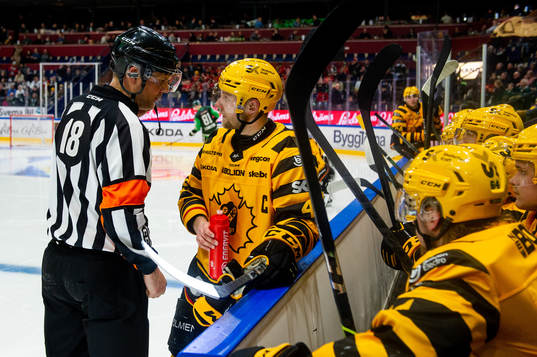 Domare Mikael Nord och Skellefteås Linus Hedman