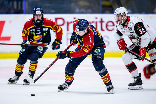 Djurgårdens Filip Cederqvist