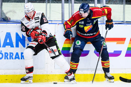 Malmö Redhawks Lars Bryggman och Djurgårdens Stefan Warg