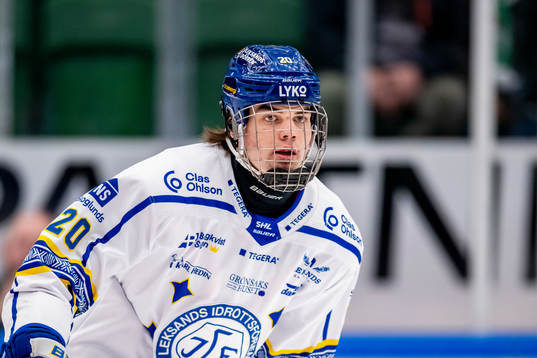 Leksands Lian Bichsel