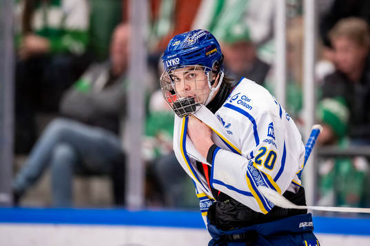 Leksands Lian Bichsel  deppar