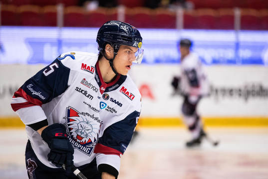 Linköpings Roberts Mamcics