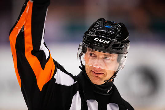 Domare Mikael Andersson