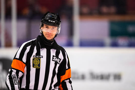 Domare Mikael Andersson