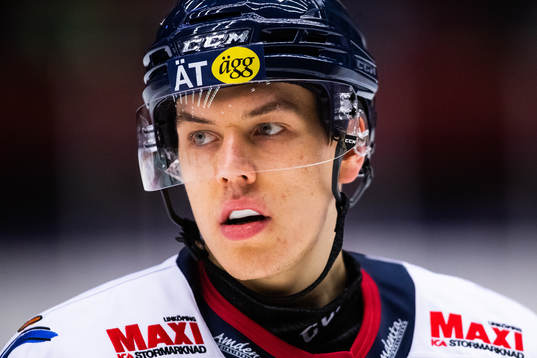 Linköpings Roberts Mamcics
