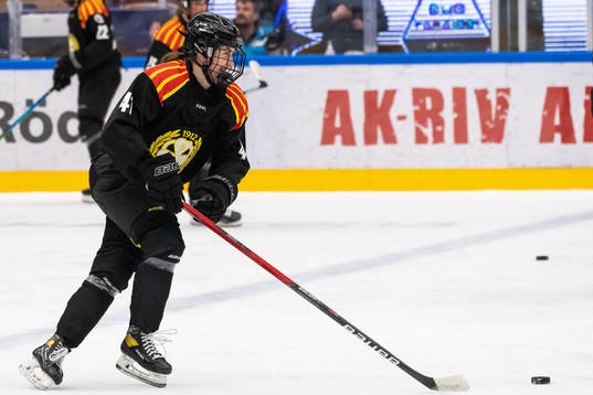 Brynäs Denisa Krizova