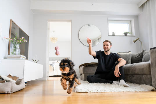 GAIS Gustav Lundgren leker med sin hund Harry
