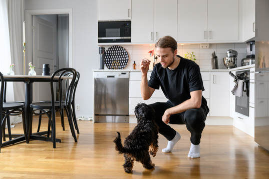 GAIS Gustav Lundgren leker med sin hund Harry