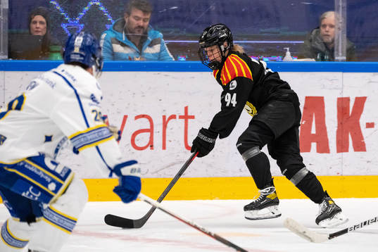 Brynäs Anna Meixner