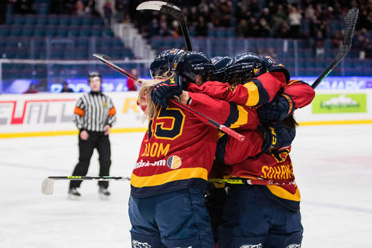 Djurgårdens spelare jublar