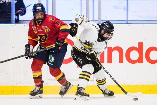 under ishockeymatchen i SDHL mellan Djurgården och AIK