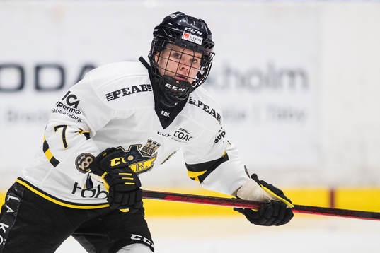 s Linnea Hedin
