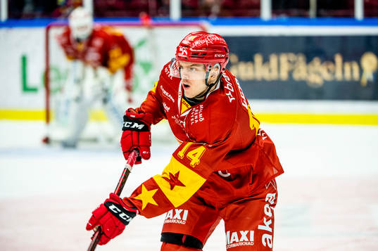 Malmö Redhawks Carl-Johan Lerby