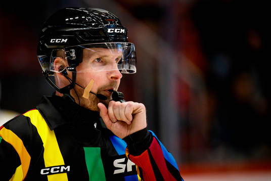 Domare Johan Magnusson