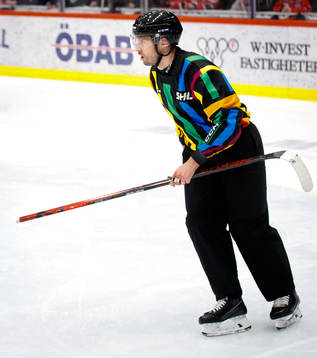 Domare Johan Magnusson