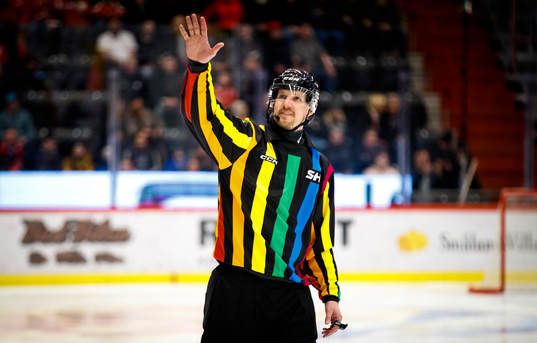 Domare Johan Magnusson