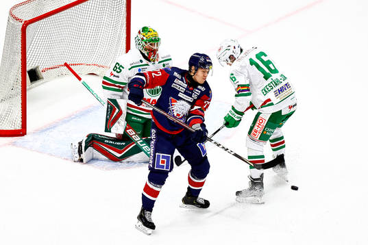 Linköpings Vilmos Gallo