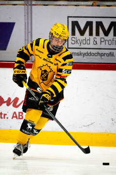 Skellefteås Zeb Forsfjäll