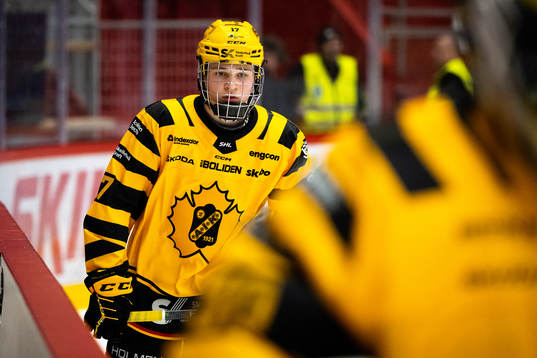 Skellefteås Zeb Forsfjäll