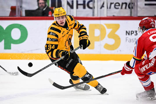 Skellefteås Linus Karlsson
