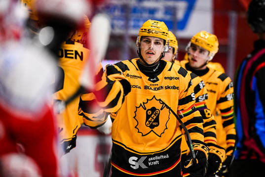Skellefteås Jonathan Johnson jublar