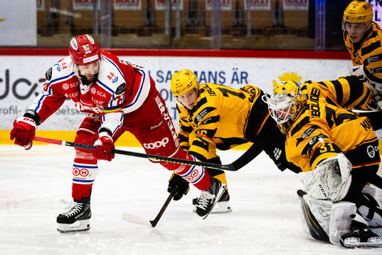 Timrås Robin Hanzl och Skellefteås målvakt Strauss Mann