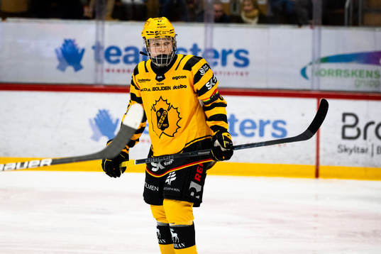 Skellefteås Zeb Forsfjäll