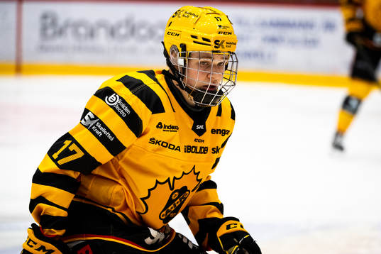 Skellefteås Zeb Forsfjäll