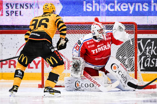 Timrås målvakt Jacob Johansson