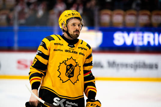 Skellefteås Jayce Hawryluk deppar