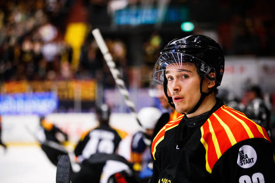 Brynäs Dmytro Timashov