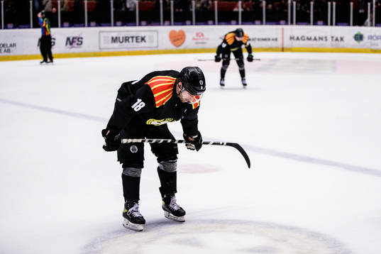 Bläddra bland fler bilder av Ishockey, SHL, Brynäs - Djurgården