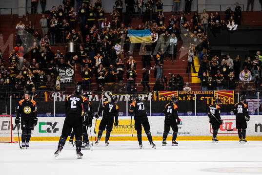 Brynäs spelare deppar
