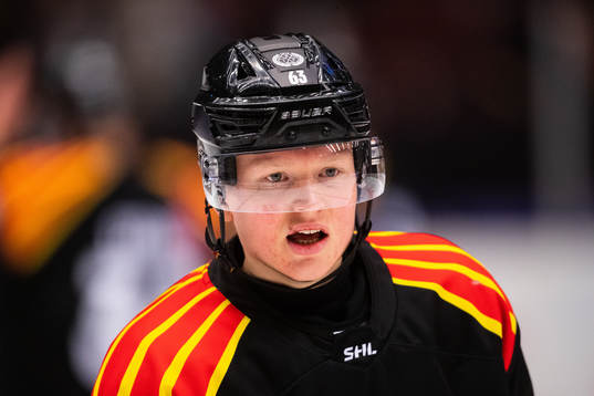 Brynäs Julius Bergman