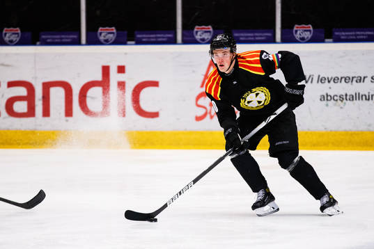 Brynäs Noel Gunler