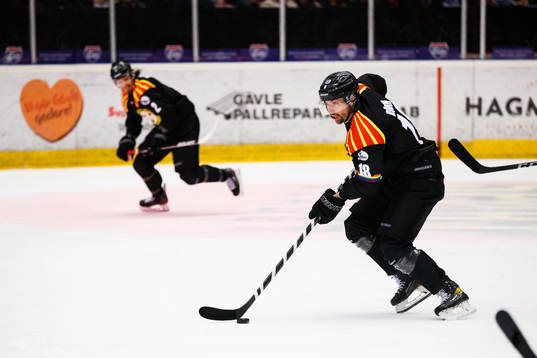 Brynäs Anton Rödin