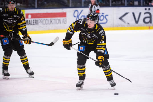 Västerås Ludvig Östman