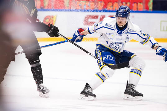 Leksands Carter Ashton