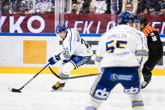 Leksands Mikael Ruohomaa