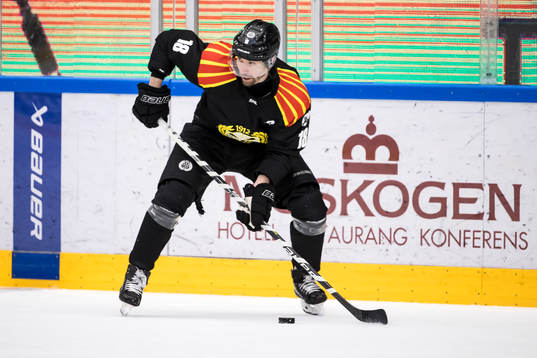 Brynäs Anton Rödin