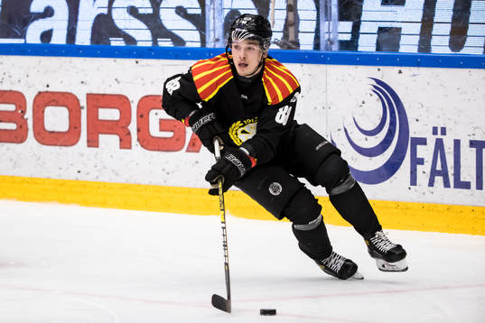 Brynäs Dmytro Timashov