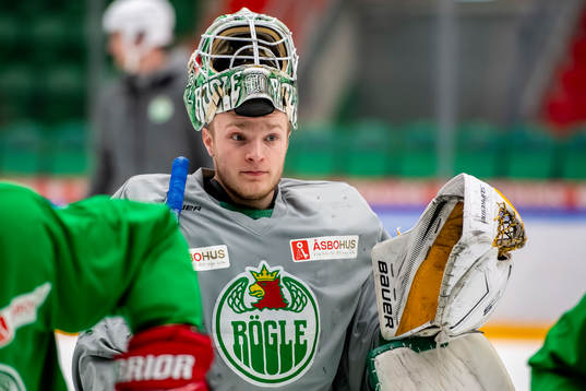 goalkeeper Edwin Mustafic of Rögle