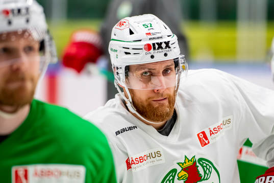 Vojtech Mozik of Rögle