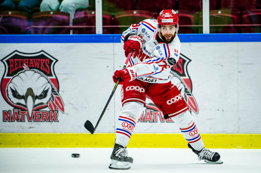 Timrås Robin Hanzl