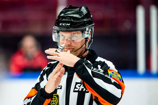 Domare Mikael Nord
