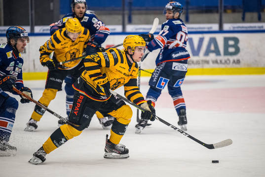 Skellefteås Elias Stenman