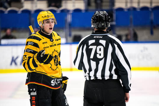 Skellefteås Linus Karlsson i diskussion med domaren