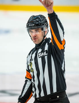 Domare Richard Magnusson