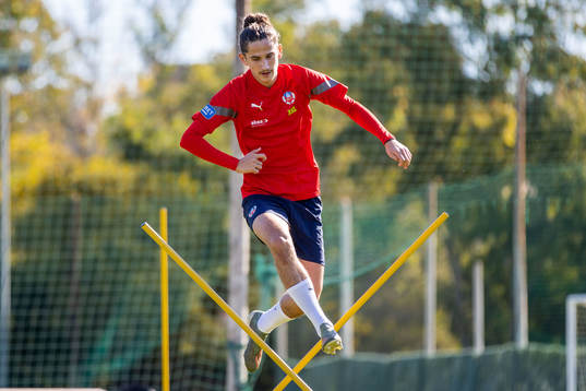 Ervin Gigović