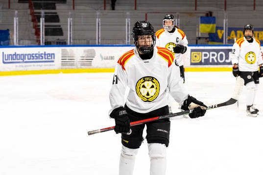 Brynäs Denisa Krizova